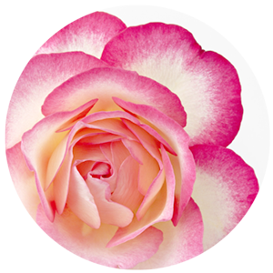 お客様の声 Next Stage 心身のバランスを整え 真の健康へ導くトリートメントサロン